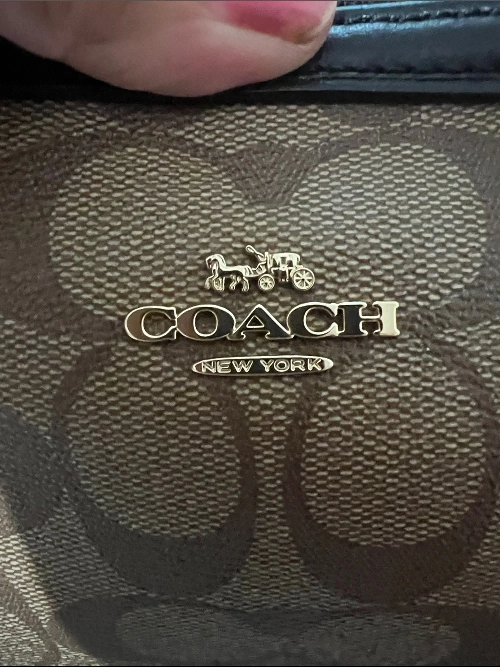 Coach Brown Signature Cosmetic Pouch with Black Trim
